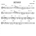 【Standard】Sunny资料与分析